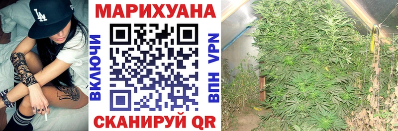 Бошки марихуана THC 21%  blacksprut ONION  Суровикино  где купить наркоту 